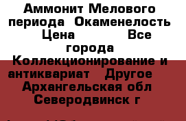 Аммонит Мелового периода. Окаменелость. › Цена ­ 2 800 - Все города Коллекционирование и антиквариат » Другое   . Архангельская обл.,Северодвинск г.